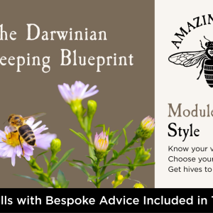 Darwinian Beekeeping Blueprint: Module One - Style
