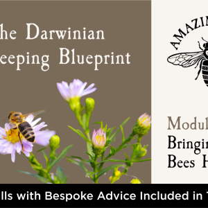 Darwinian Beekeeping Blueprint: Module Two - Bringing Your Bees Home